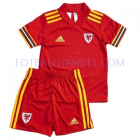 Barn Fotballdrakter Wales Hjemme Euro 2020 Kortermet